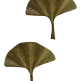 Wall lamp golden brass frame sheets by Ginko Biloba