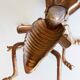 Ashtray fly brass vintage 1970