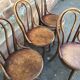 4 viennese bistro chairs tuna and curved wood
