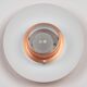 Vintage Copper Pendant Lamp by Form-Light, Danish Mid-Century Modern Lighti