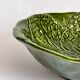 Salad bowl slurry Costa Pereira Portugal cabbage leaves