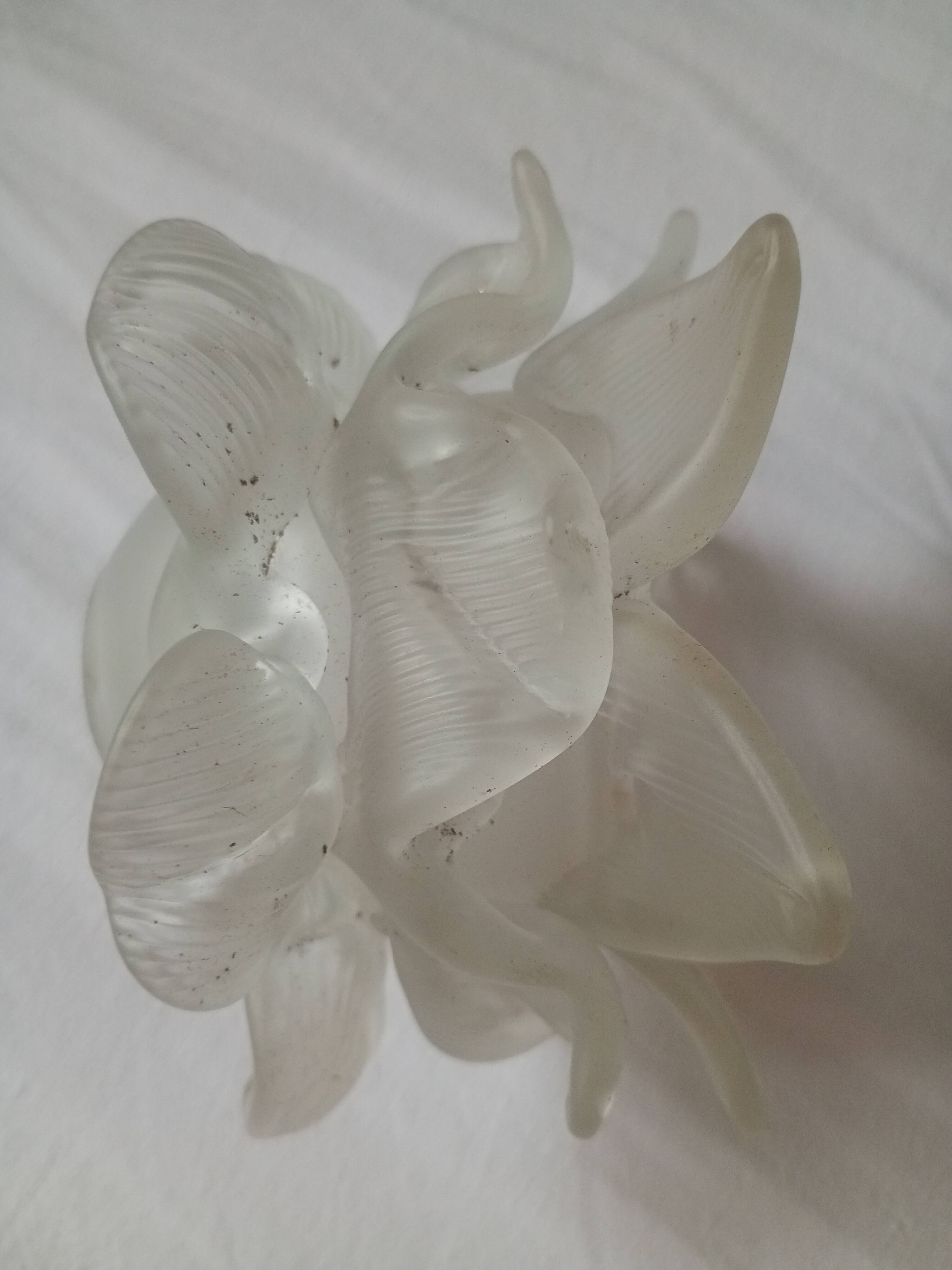 Grande Tulipe ancienne en forme de fleur "rose" - verre dépoli