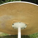 Tulip table