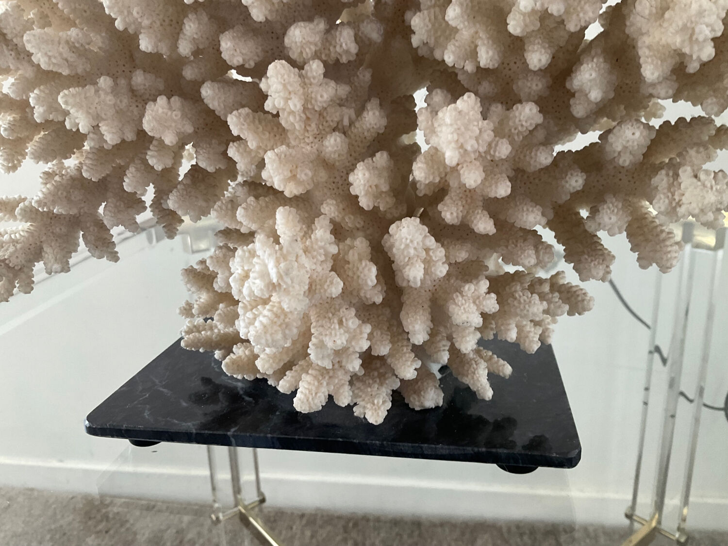 Hollywood Regency coral lamp from the 70s