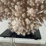 Hollywood Regency coral lamp from the 70s