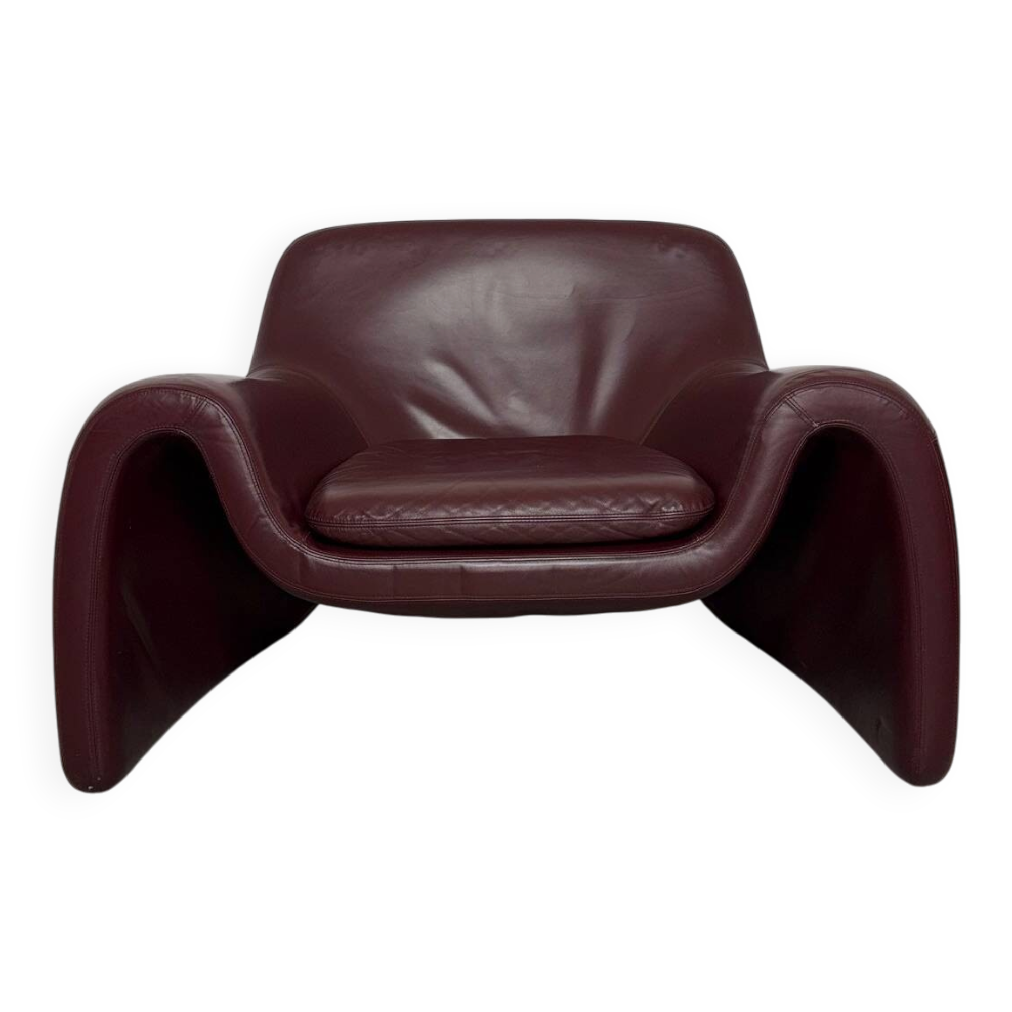 Sculptural Leather Lounge Chair by Cinova, Italy 1970s