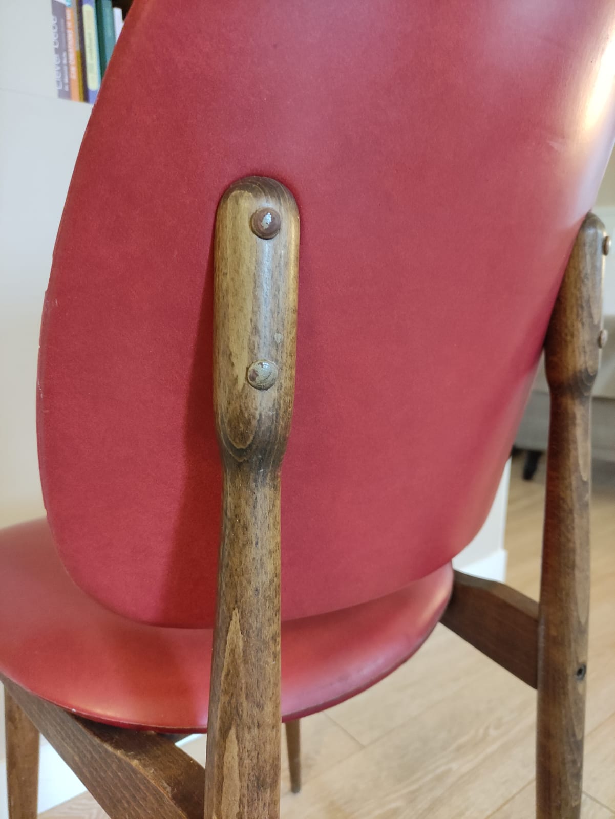 Pegasus model chair by Bauman