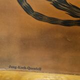 Botanical board coated tissue