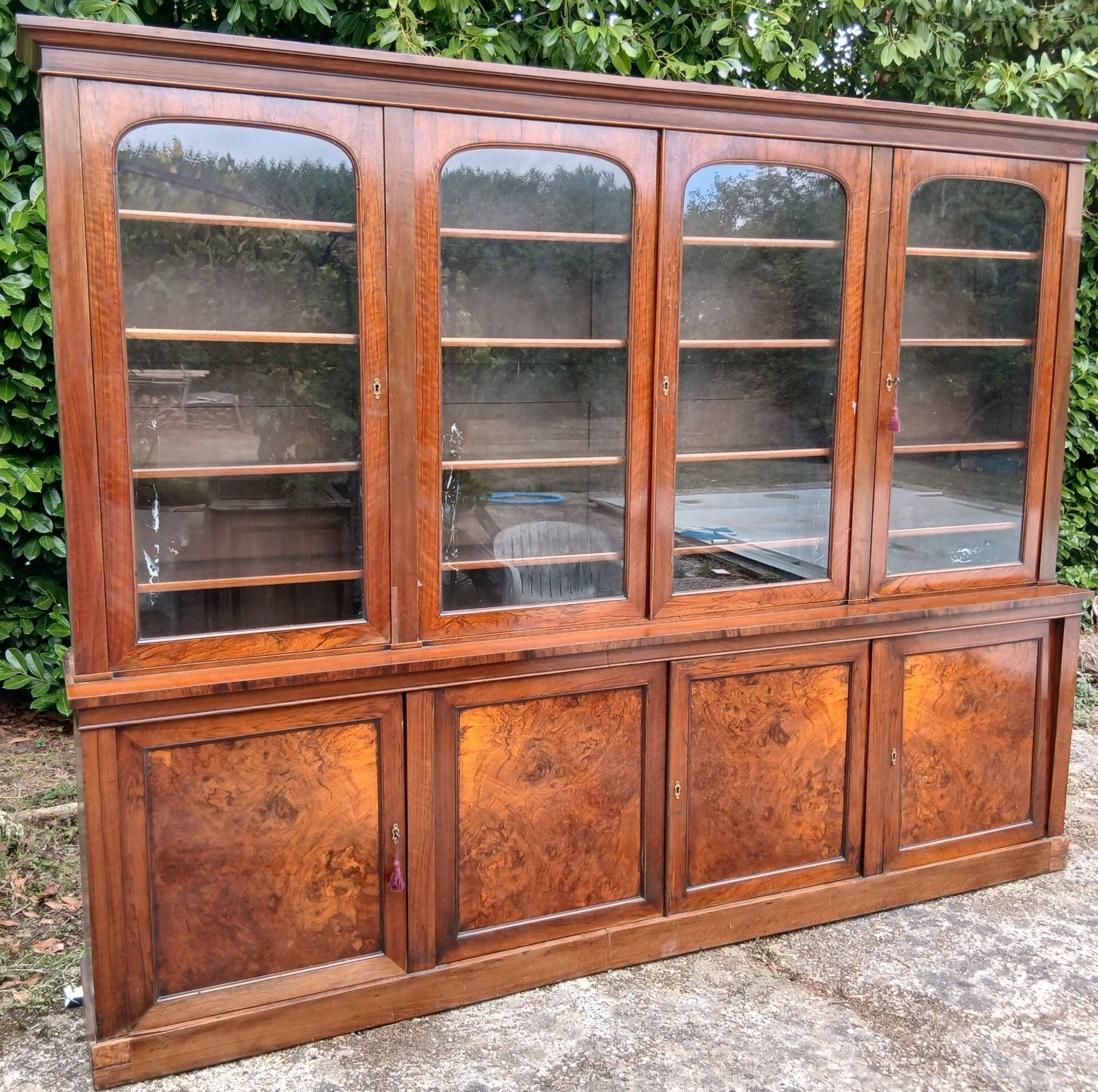 Large walnut shop library from the late 19th century.