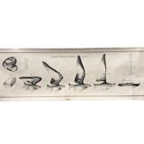 Print "How boats are born (plate 1)" by Jean Olivier Héron
