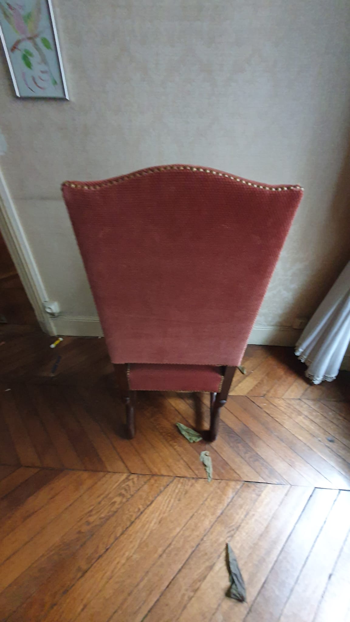 Pair of chairs "sheep bone"