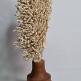 Antique natural coral on turned wooden base, 38 cm