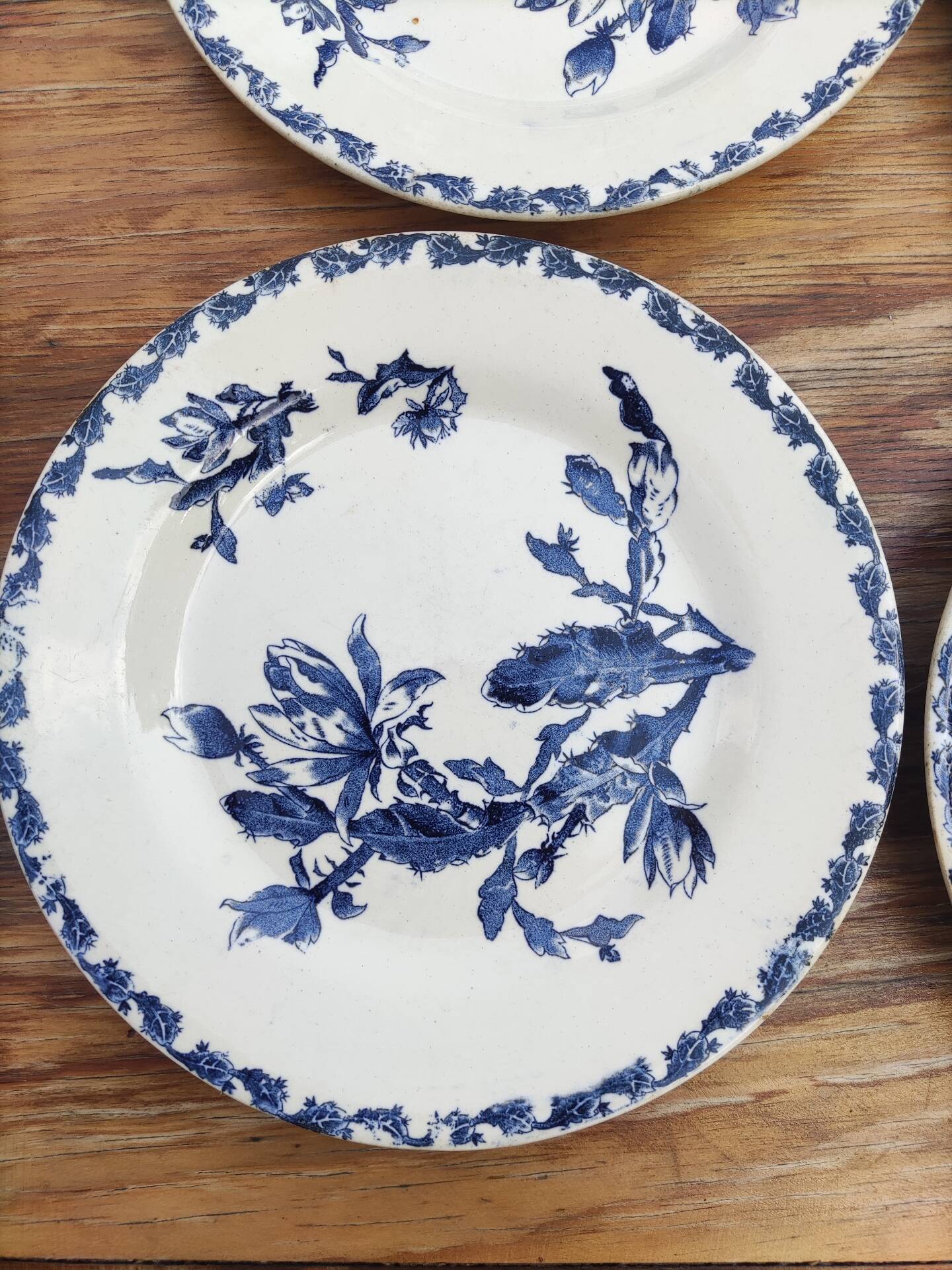6 flat plates made of Gien earthenware - ironstone - cactus model