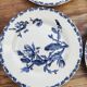 6 flat plates made of Gien earthenware - ironstone - cactus model