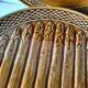 Set of 6 asparagus barbotine plates