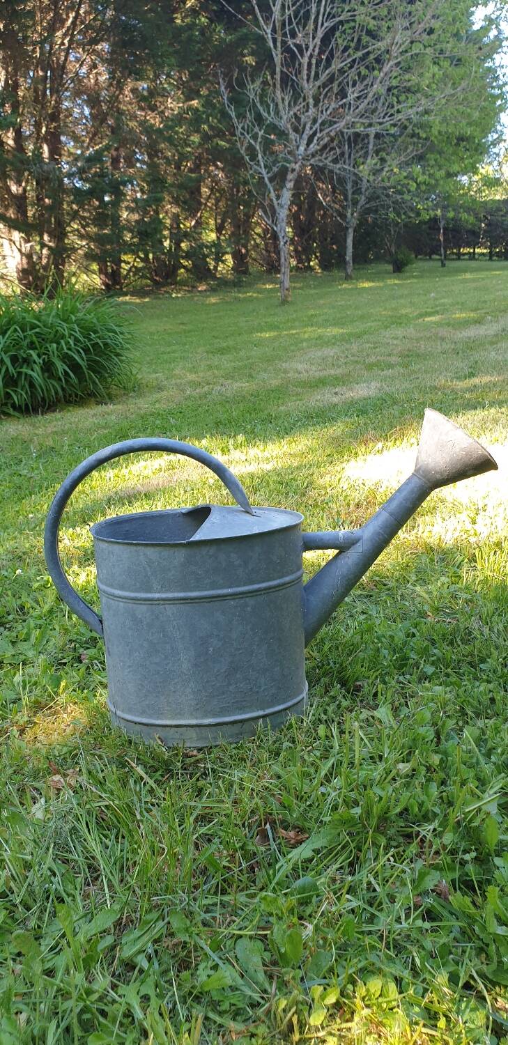Vintage zing watering can