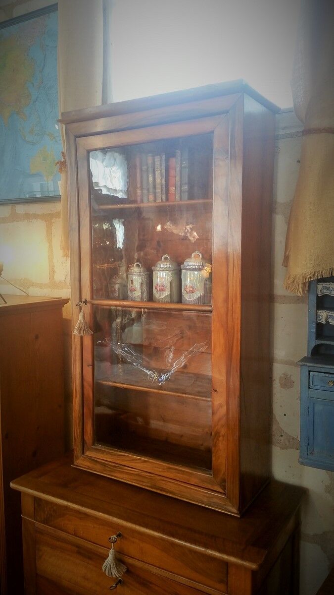 Showcase in Walnut late nineteenth