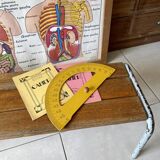 Vintage school bench