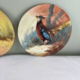 Set of decorative plates