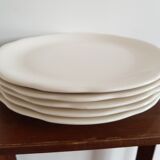 5 Gien presentation plates
