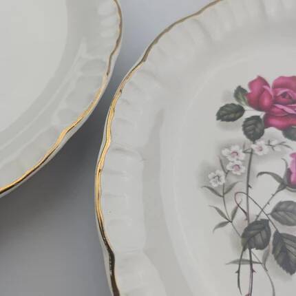 6 assiettes plates en porcelaine Digoin Sarreguemines - Modèle Sévigné