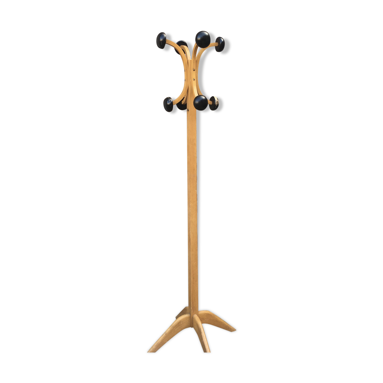 Stella coatrack