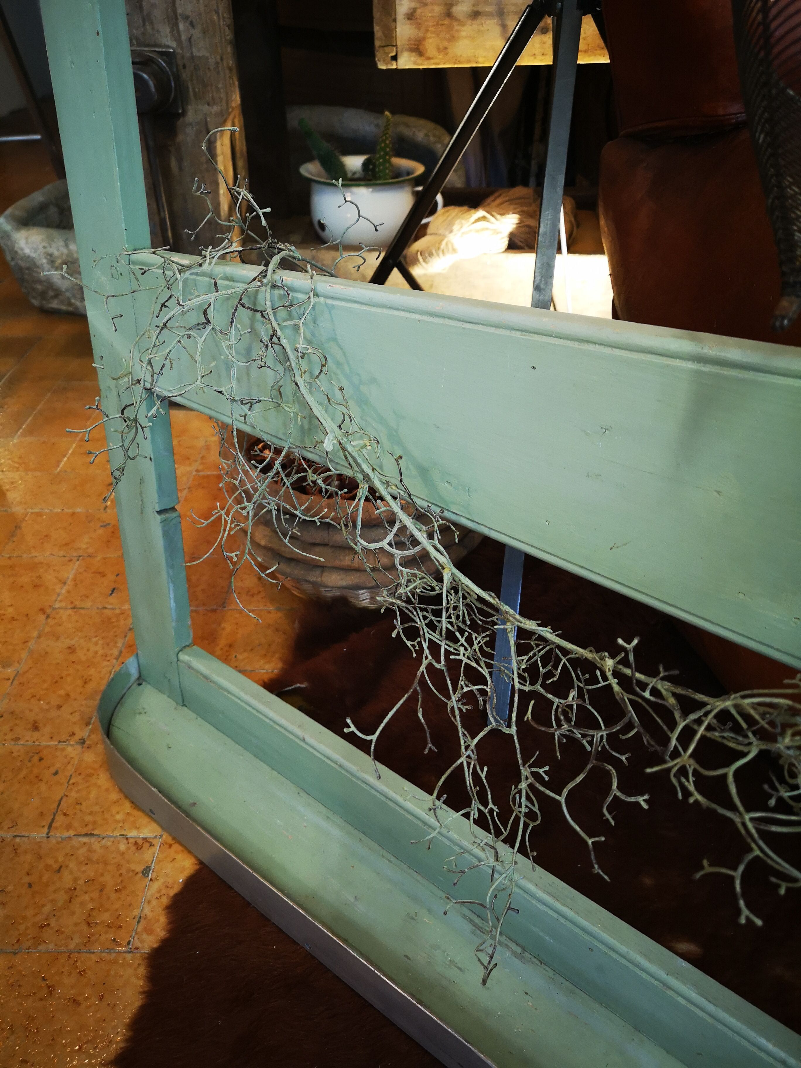 Vintage kitchen shelf, 1950