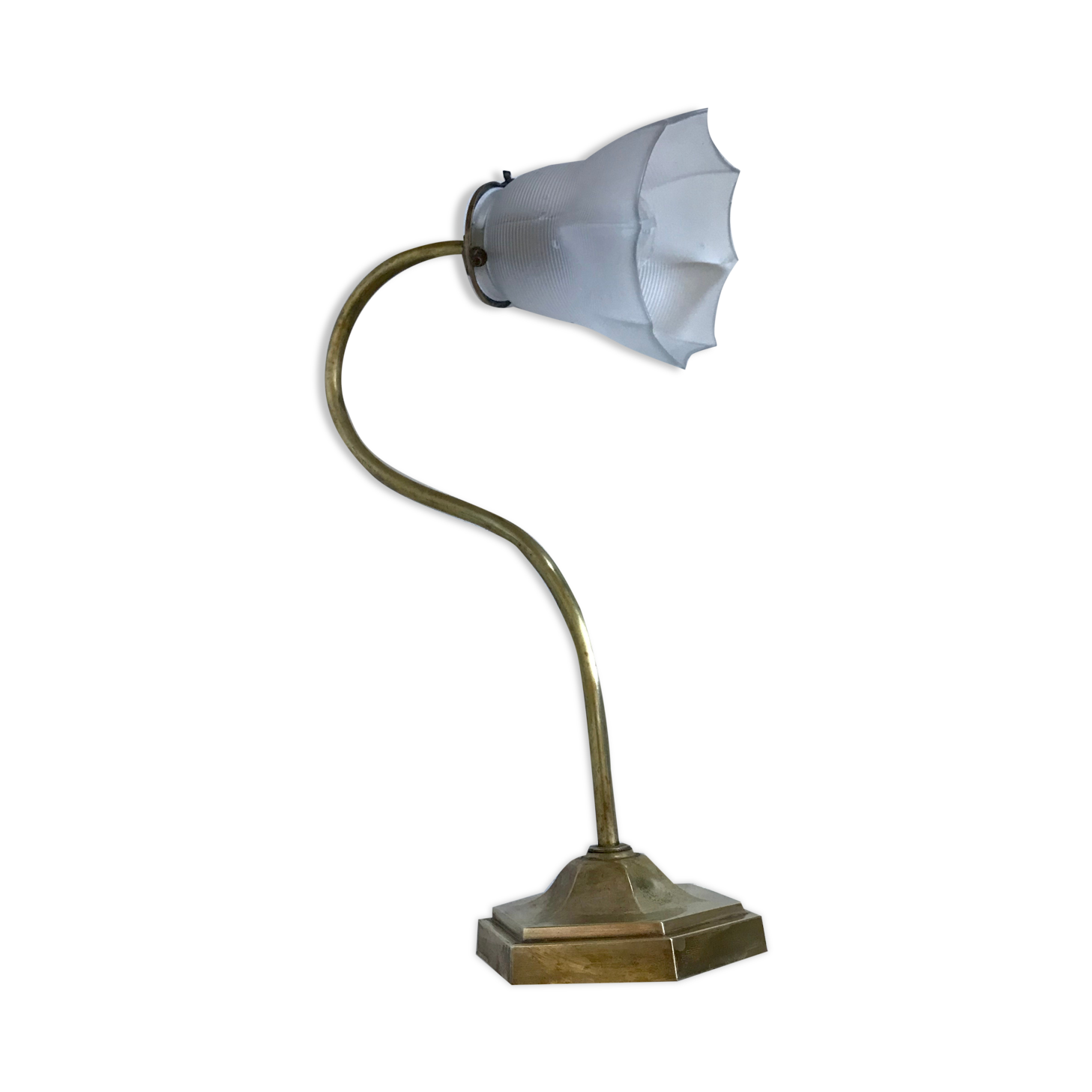 Brass gooseneck lamp