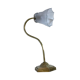 Brass gooseneck lamp
