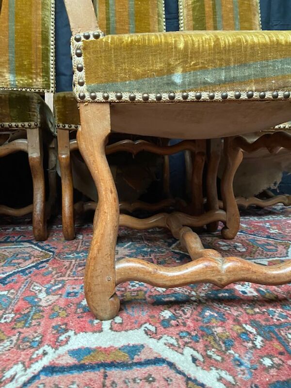 Lot de 6 chaise Louis XIV