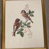 Bird paintings