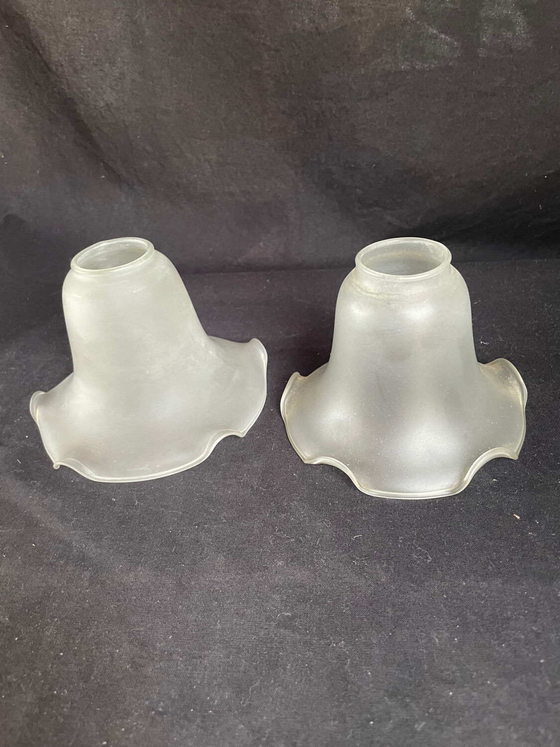 2 abat-jours tulipes anciens en verre dépoli