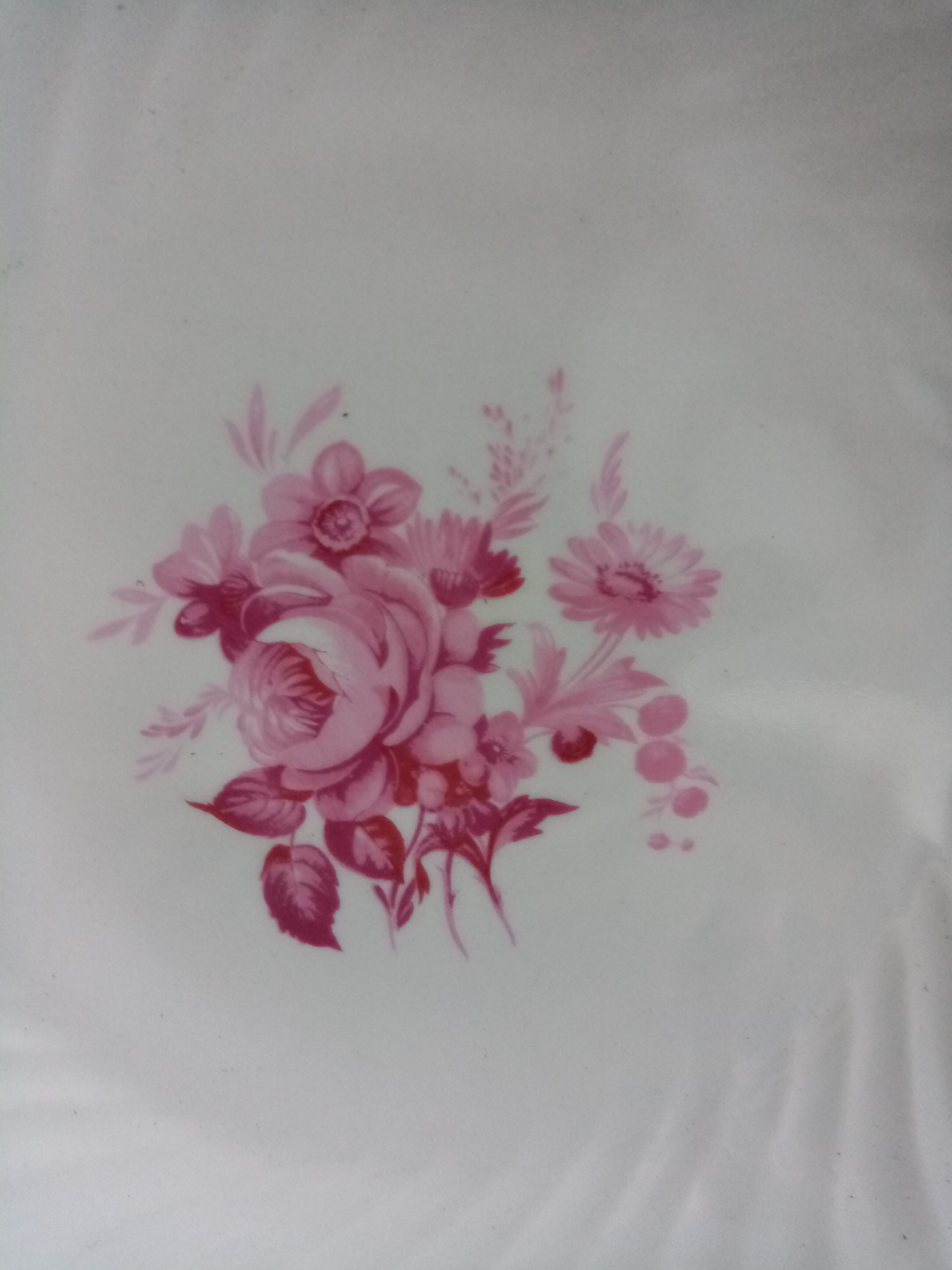 Porcelain plates Saint Amand