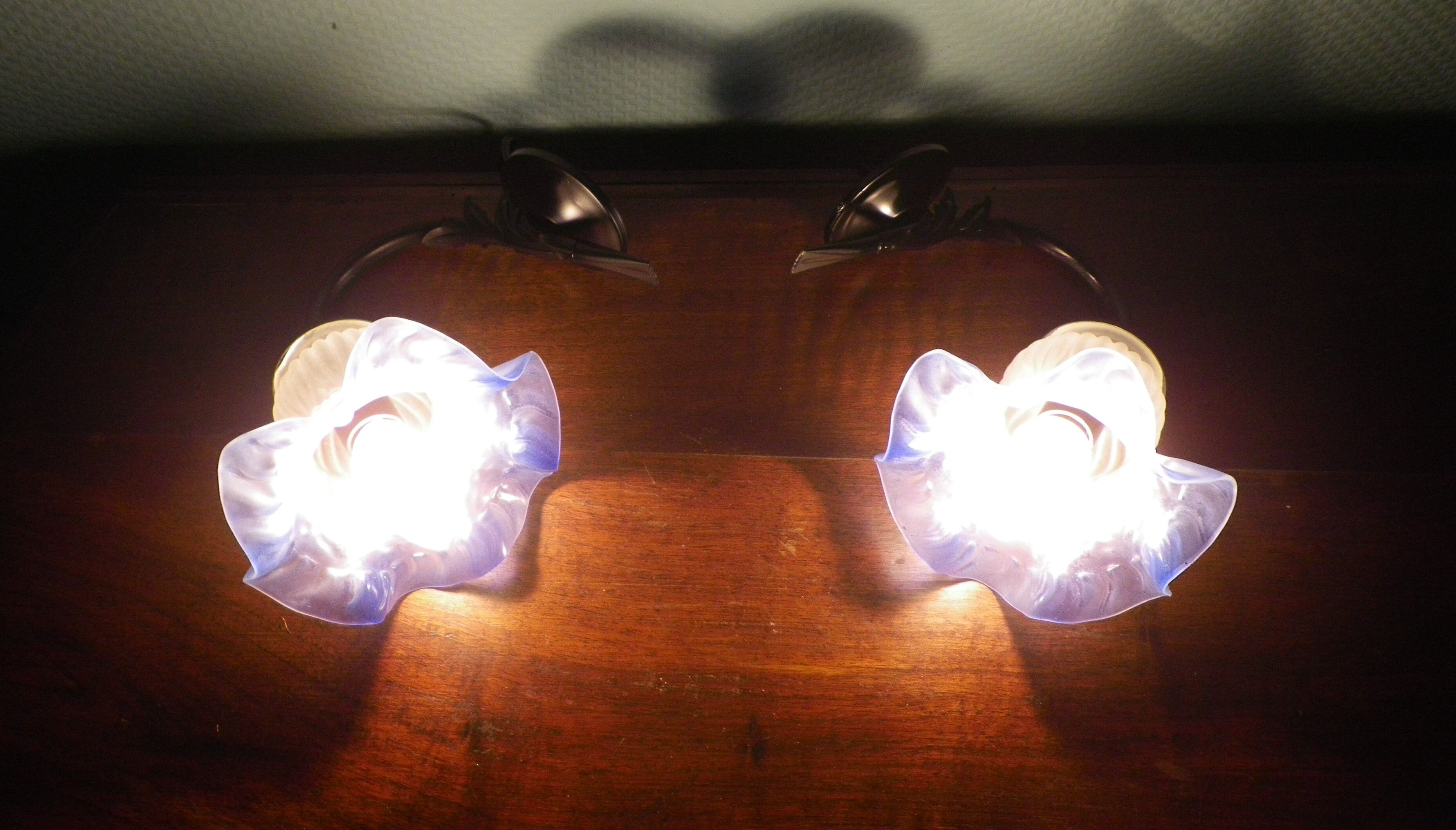 Wall sconces with opalines in the shape of corollas and black metal support