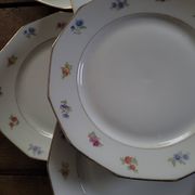 Twelve-panel floral plates

1960s.
