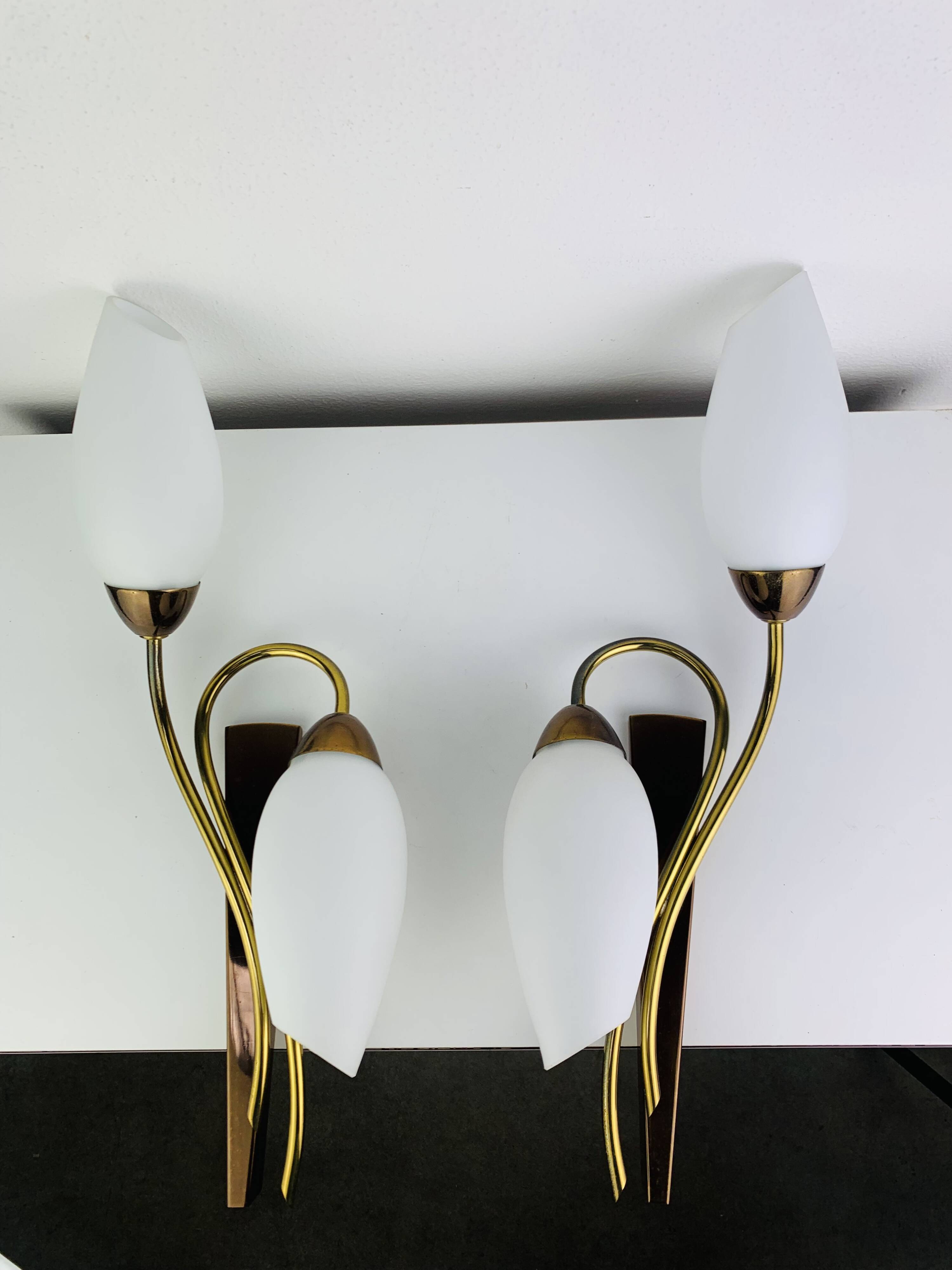 Pair of 1950s wall lights in brass and opaline tulips, Lunel/Arlus