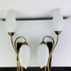 Pair of 1950s wall lights in brass and opaline tulips, Lunel/Arlus