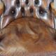 Fauteuil chesterfield en cuir de vache anglais
