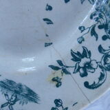 Dish
