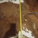 Vintage cowhide carpet