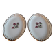 Raviers