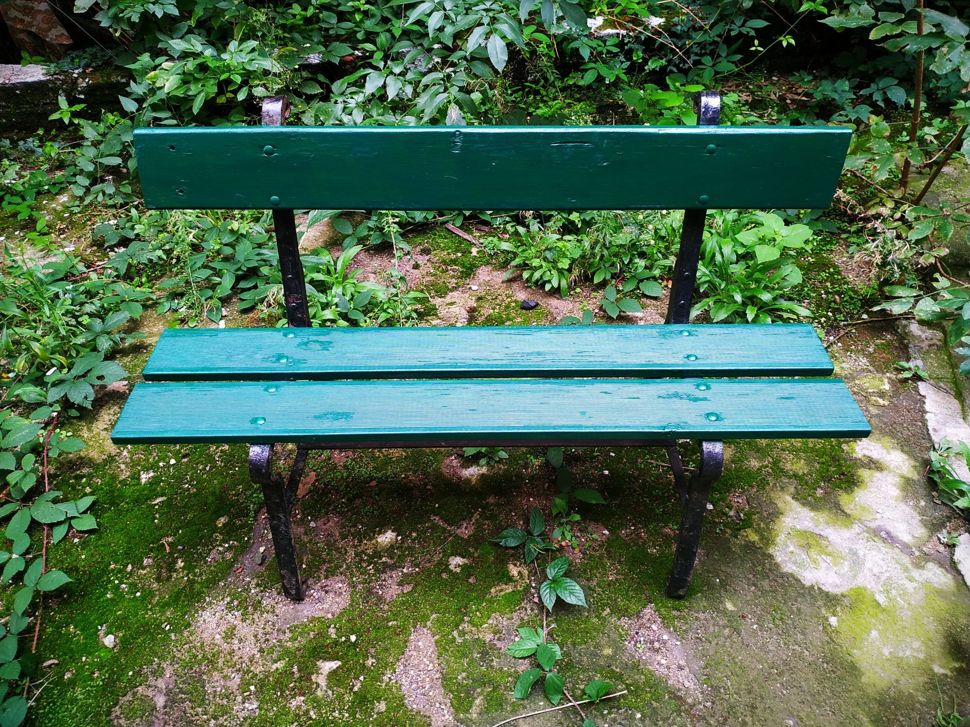 Garden bench wood and cast iron