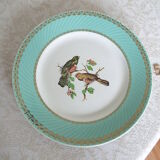 6 assiettes plates oiseaux