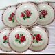 6 flat plates of Digoin Sarreguemines model Saverne