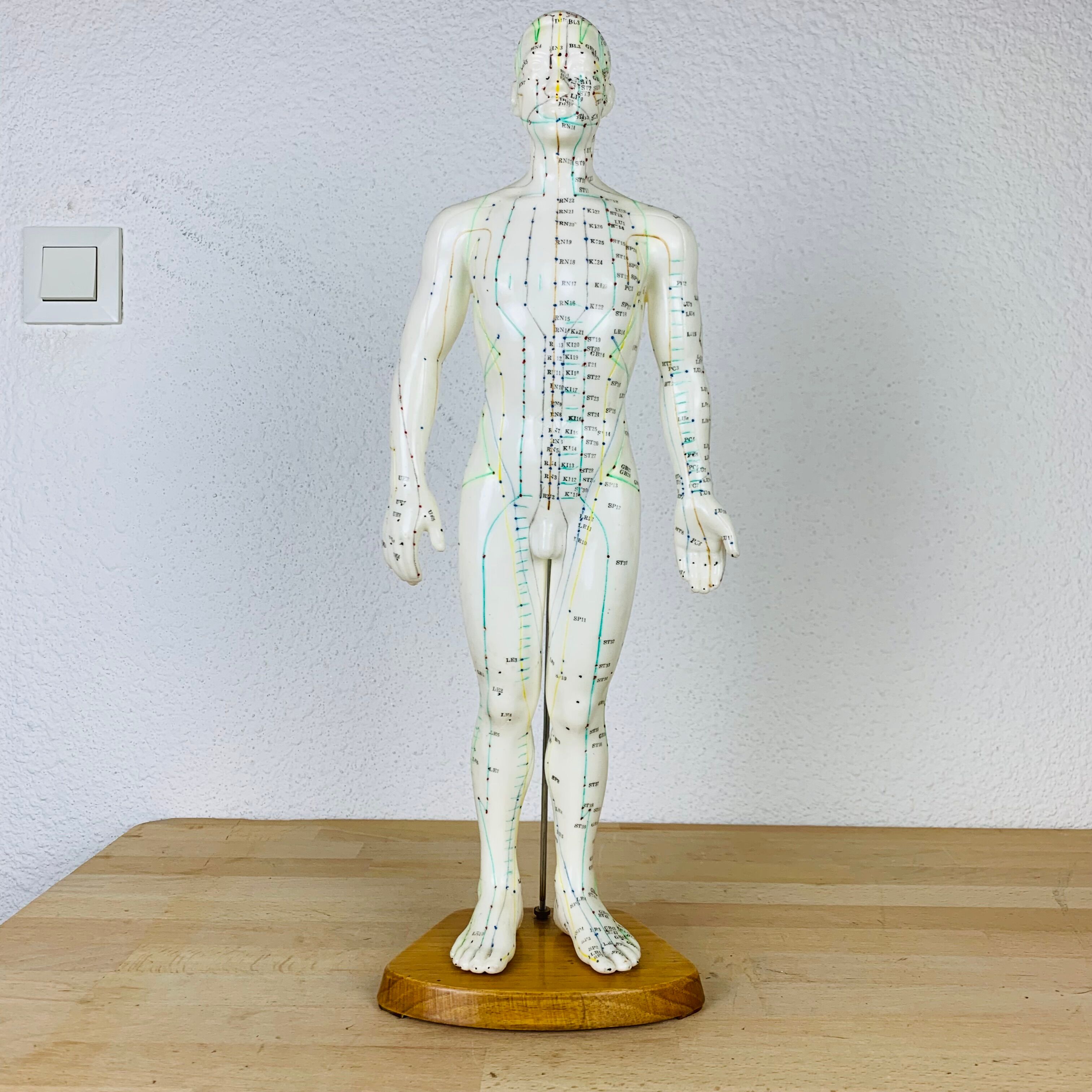 Mannequin d'acupuncture vintage cabinet de curiosité