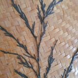 Wicker lampshade