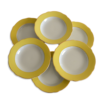 6 hollow plates Lunéville model Daffodil
