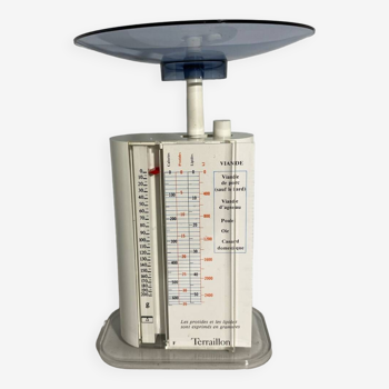 Terraillon dietary scale