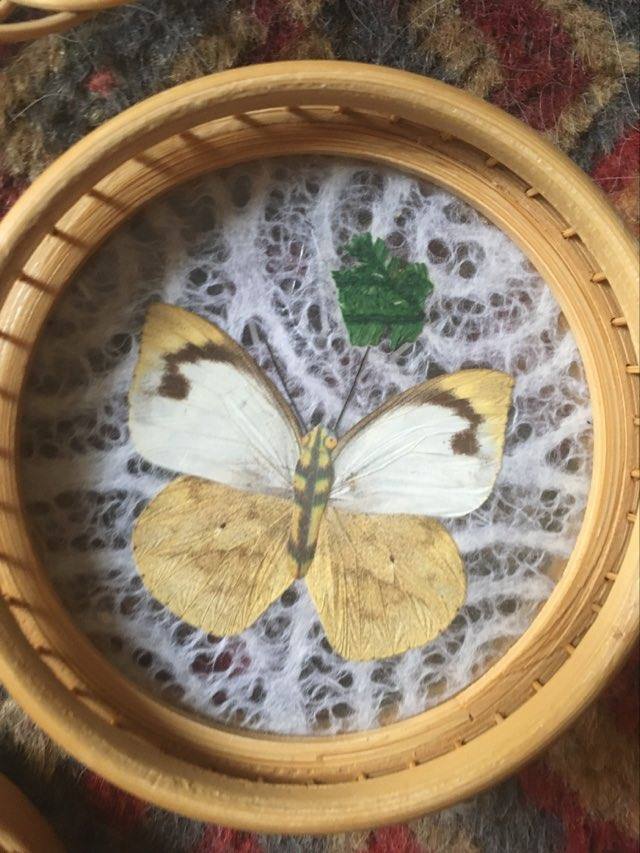 Sub-glasses assorted butterflies in rattan and bamboo .