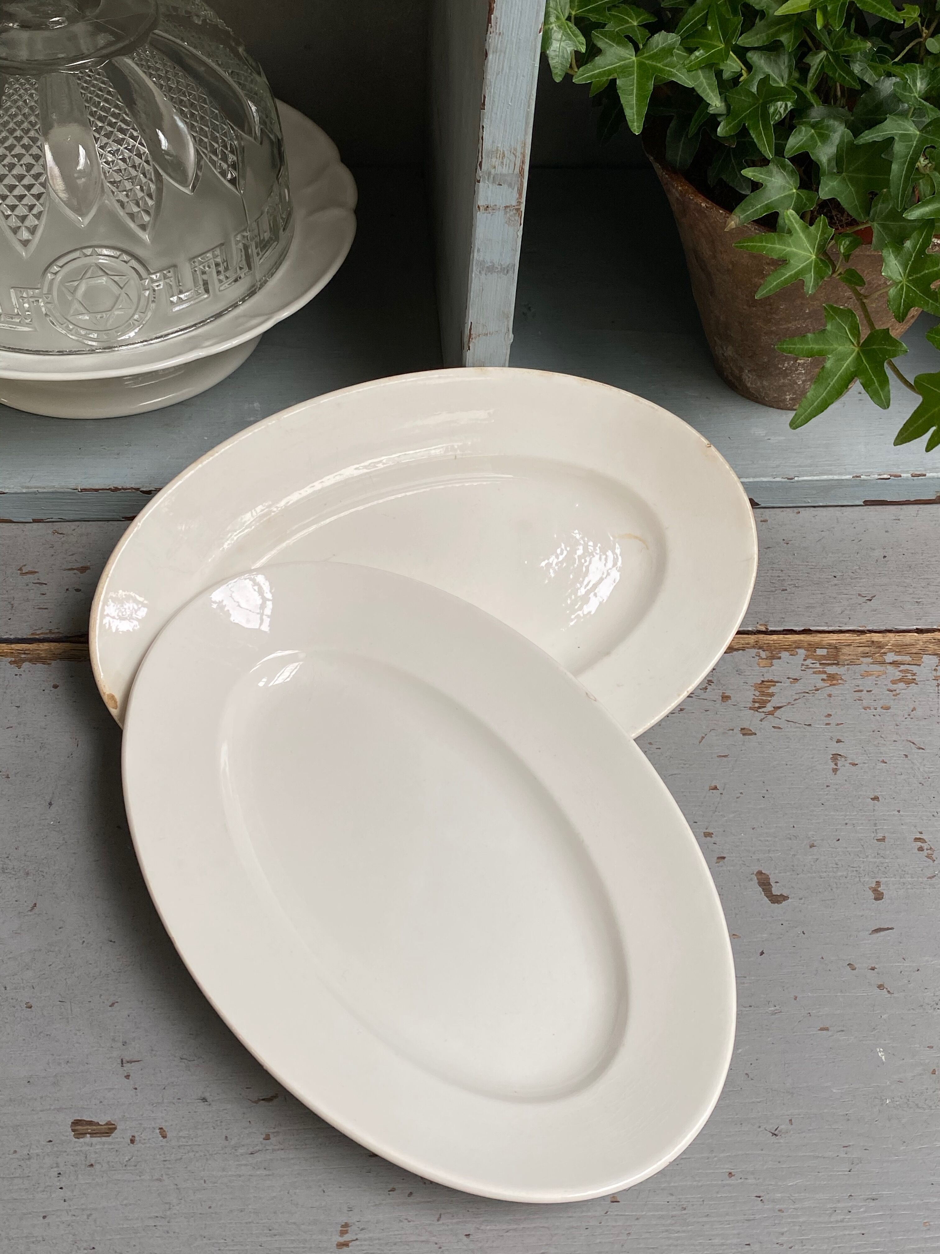 Pair of old dishes digoin